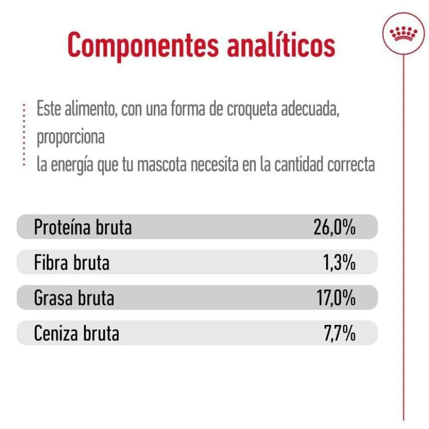 Royal Canin Maxi Adult ração para cães