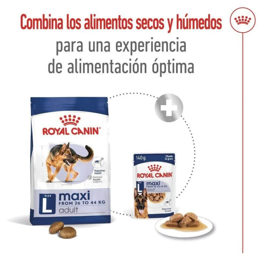 Royal Canin Maxi Adult ração para cães