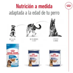 Royal Canin Maxi Ageing 5+ Patê em lata para cães sénior
