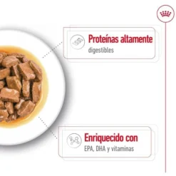 Royal Canin Maxi Ageing saqueta em molho para cães sénior