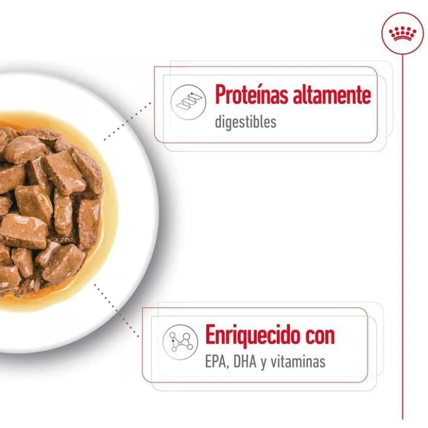 Royal Canin Maxi Ageing saqueta em molho para cães sénior