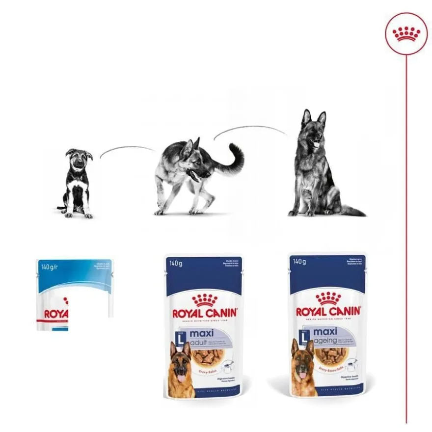 Royal Canin Maxi Ageing saqueta em molho para cães sénior