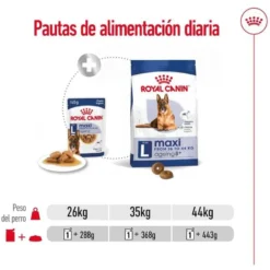 Royal Canin Maxi Ageing saqueta em molho para cães sénior
