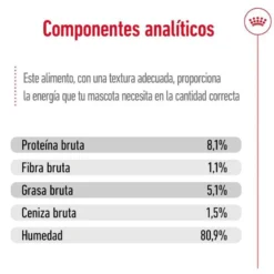 Royal Canin Maxi Ageing saqueta em molho para cães sénior