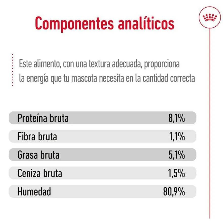 Royal Canin Maxi Ageing saqueta em molho para cães sénior