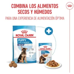 Royal Canin Maxi Puppy Alimento húmido para cães