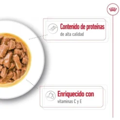 Royal Canin Medium Adult saquetas em molho para cães