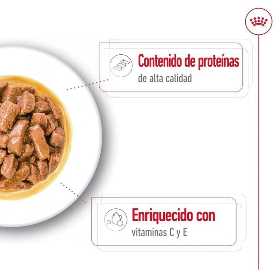 Royal Canin Medium Adult saquetas em molho para cães