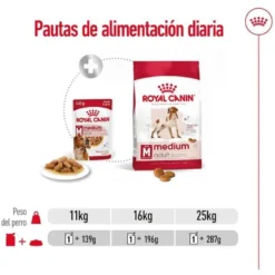 Royal Canin Medium Adult saquetas em molho para cães