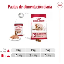 Royal Canin Medium 7+ Ageing lata para cães sénior