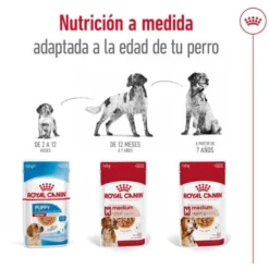 Royal Canin Medium Ageing saquetas em molho para cães sénior