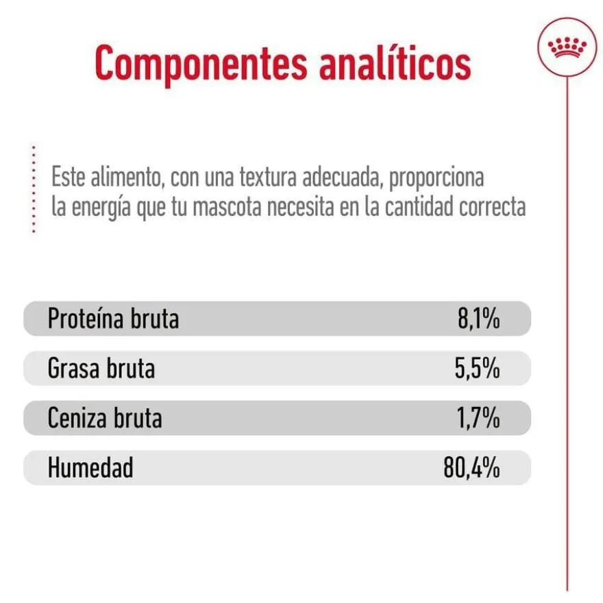 Royal Canin Medium Ageing saquetas em molho para cães sénior