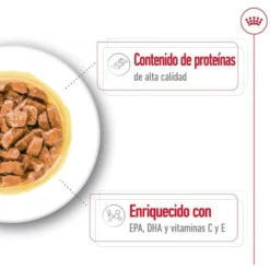 Royal Canin Medium Ageing saquetas em molho para cães sénior