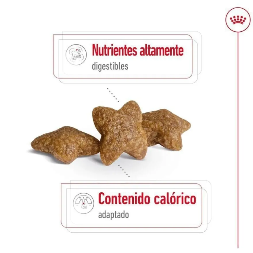 Royal Canin Mini Adult ração para cães