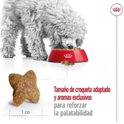 Royal Canin Mini Adult ração para cães