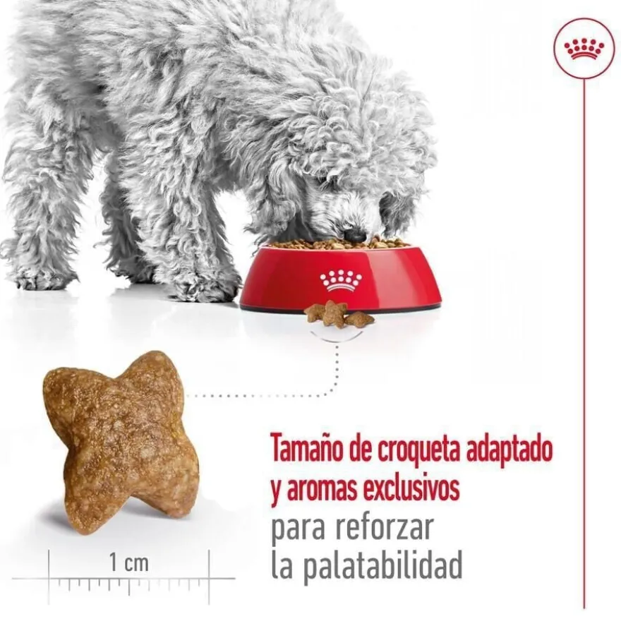 Royal Canin Mini Adult ração para cães