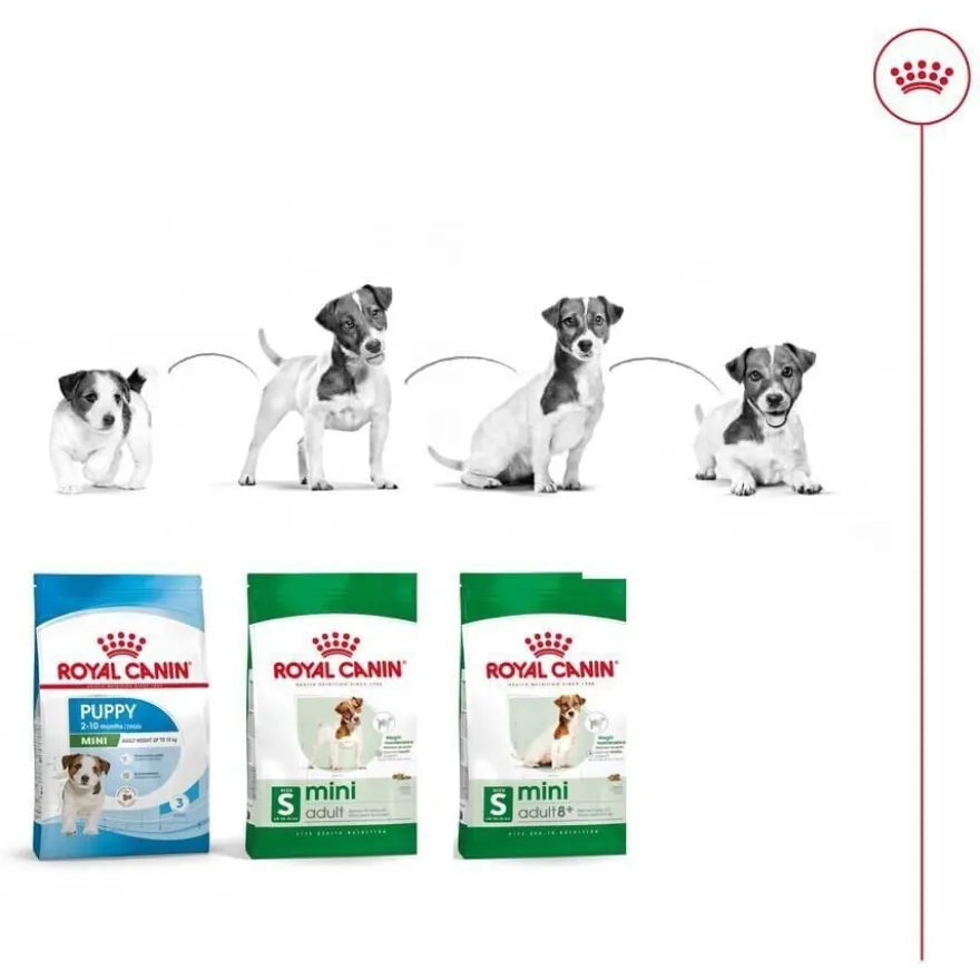 Royal Canin Mini Adult ração para cães