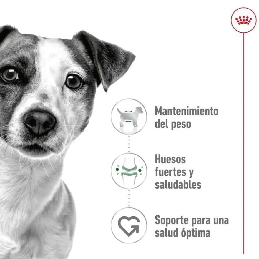 Royal Canin Mini Adult ração para cães