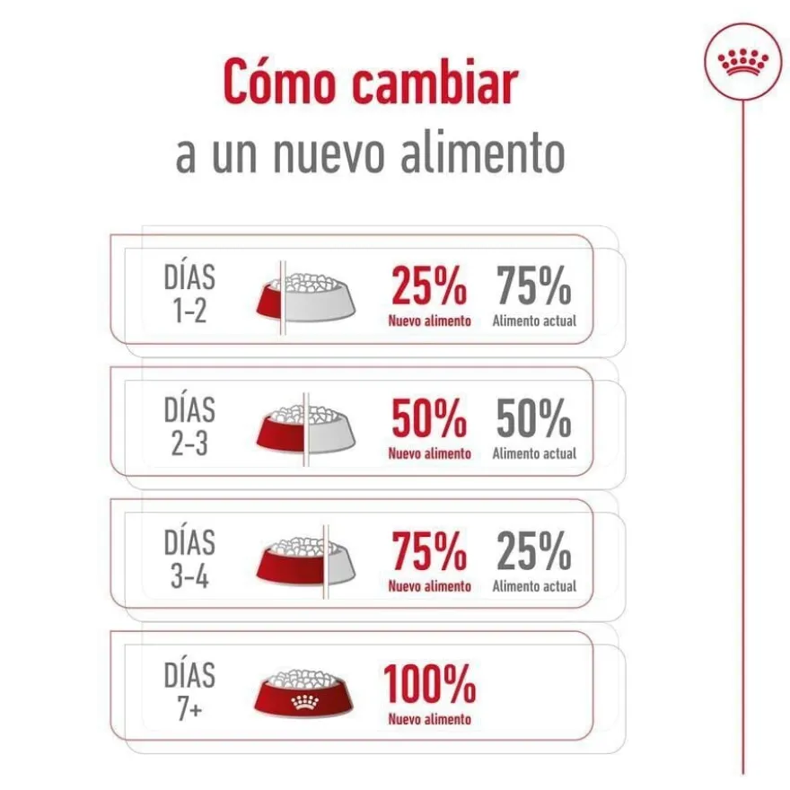 Royal Canin Mini Adult ração para cães