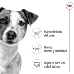 Royal Canin Mini Adult saqueta em molho para cães