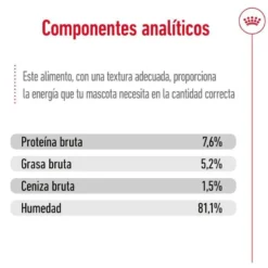 Royal Canin Mini Adult saqueta em molho para cães