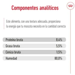 Royal Canin Mini 8+ Ageing lata para cães sénior