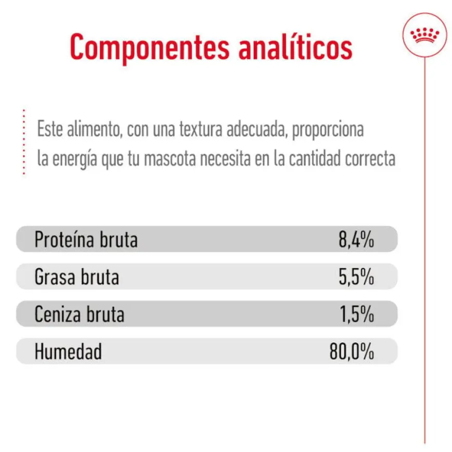 Royal Canin Mini 8+ Ageing lata para cães sénior