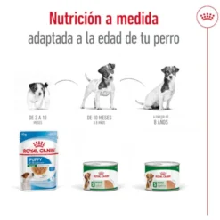Royal Canin Mini 8+ Ageing lata para cães sénior