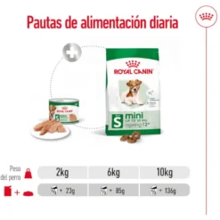 Royal Canin Mini 8+ Ageing lata para cães sénior