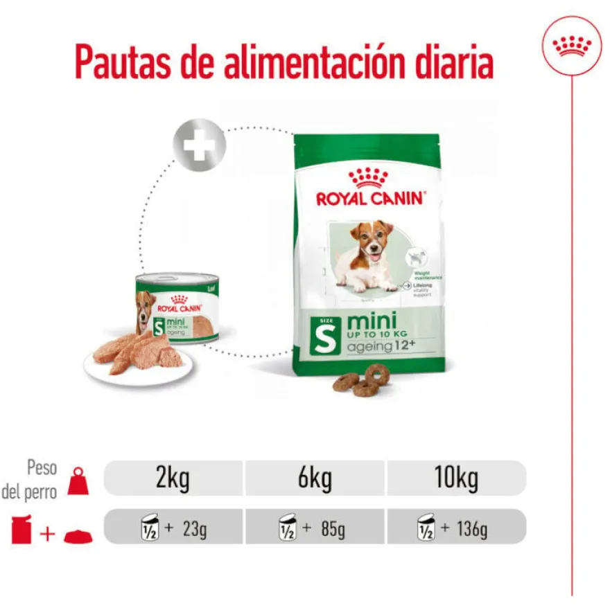 Royal Canin Mini 8+ Ageing lata para cães sénior