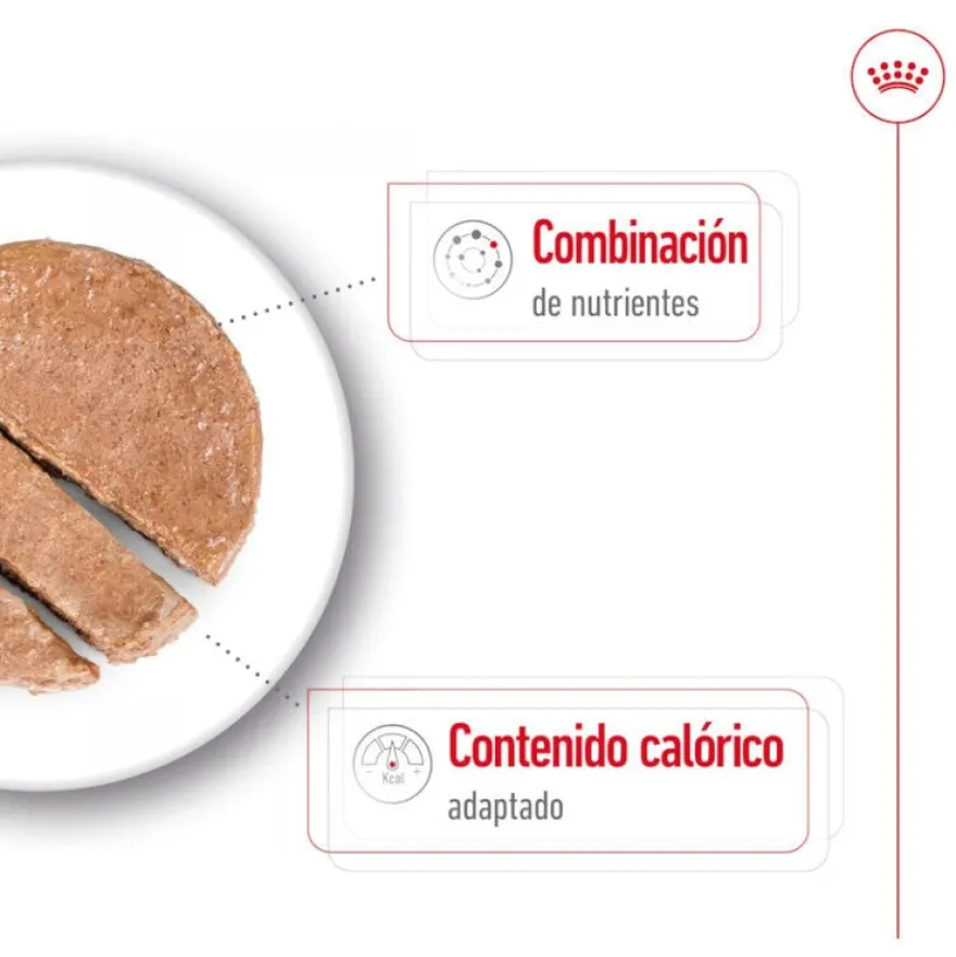 Royal Canin Mini 8+ Ageing lata para cães sénior