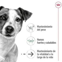 Royal Canin Mini Ageing saquetas em molho para cães sénior