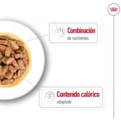 Royal Canin Mini Ageing saquetas em molho para cães sénior