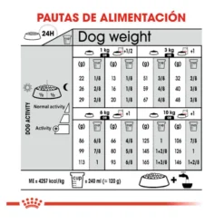 Royal Canin Mini Digestive Care ração para cães