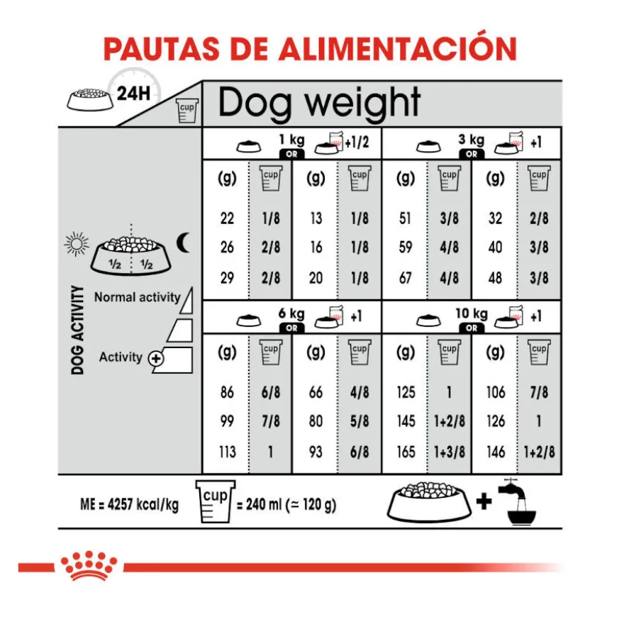 Royal Canin Mini Digestive Care ração para cães