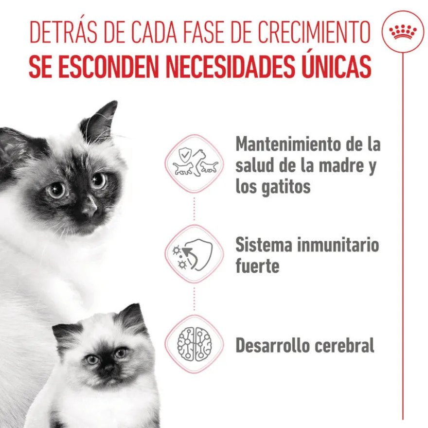 Royal Canin Mother & Baby ração para gatos