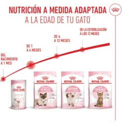 Royal Canin Mother & Baby ração para gatos