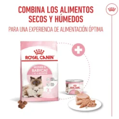 Royal Canin Mother & Baby ração para gatos