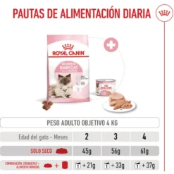 Royal Canin Mother & Baby ração para gatos