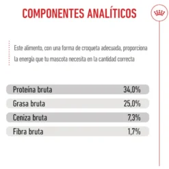 Royal Canin Mother & Baby ração para gatos