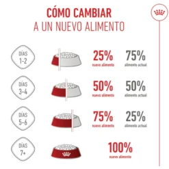 Royal Canin Mother & Baby ração para gatos
