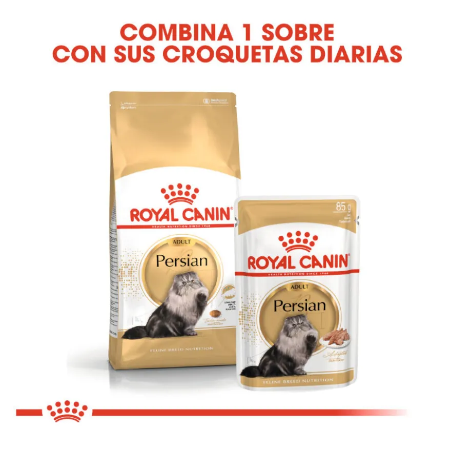 Royal Canin Persa ração para gatos adultos