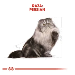 Royal Canin Persa ração para gatos adultos