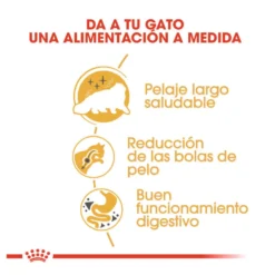 Royal Canin Persa ração para gatos adultos