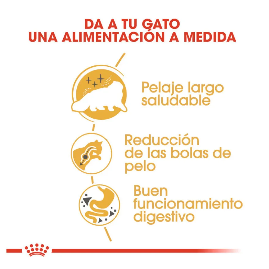Royal Canin Persa ração para gatos adultos