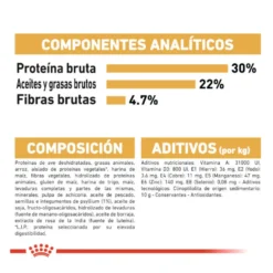 Royal Canin Persa ração para gatos adultos