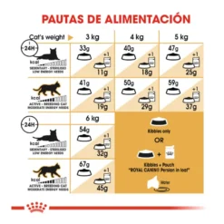 Royal Canin Persa ração para gatos adultos