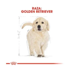 Royal Canin Puppy Golden Retriever ração para cães