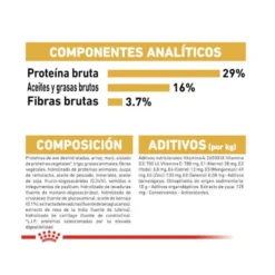 Royal Canin Puppy Golden Retriever ração para cães