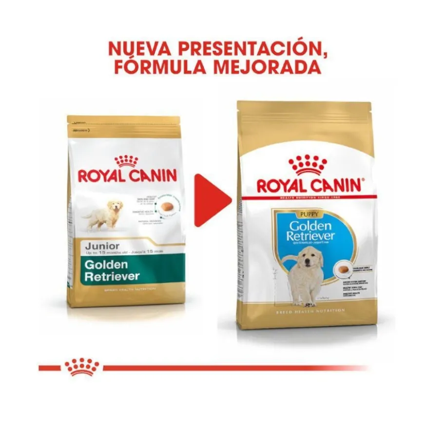 Royal Canin Puppy Golden Retriever ração para cães